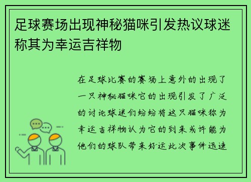 足球赛场出现神秘猫咪引发热议球迷称其为幸运吉祥物