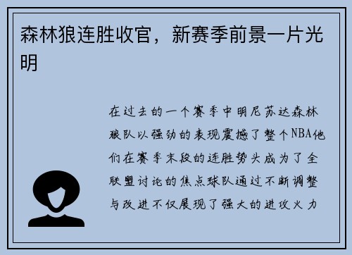 森林狼连胜收官，新赛季前景一片光明