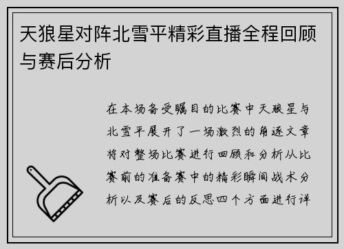 天狼星对阵北雪平精彩直播全程回顾与赛后分析