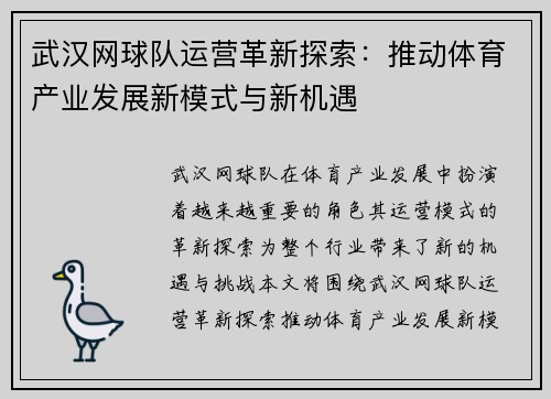 武汉网球队运营革新探索：推动体育产业发展新模式与新机遇
