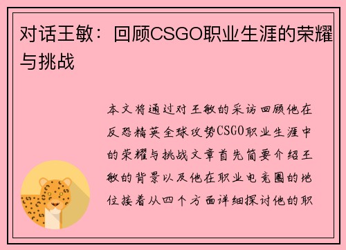 对话王敏：回顾CSGO职业生涯的荣耀与挑战